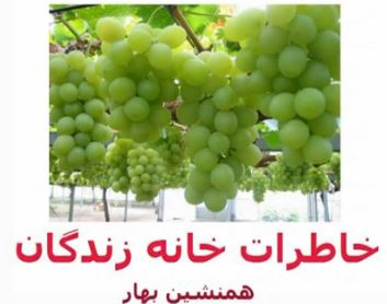 خاطرات خانه زندگان (۲۱)