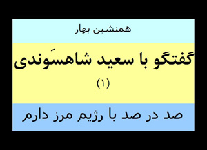 گفتگو با سعید شاهسوندی