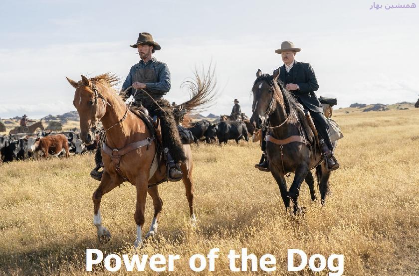 فیلم قدرت سگ </br/> Power of the Dog